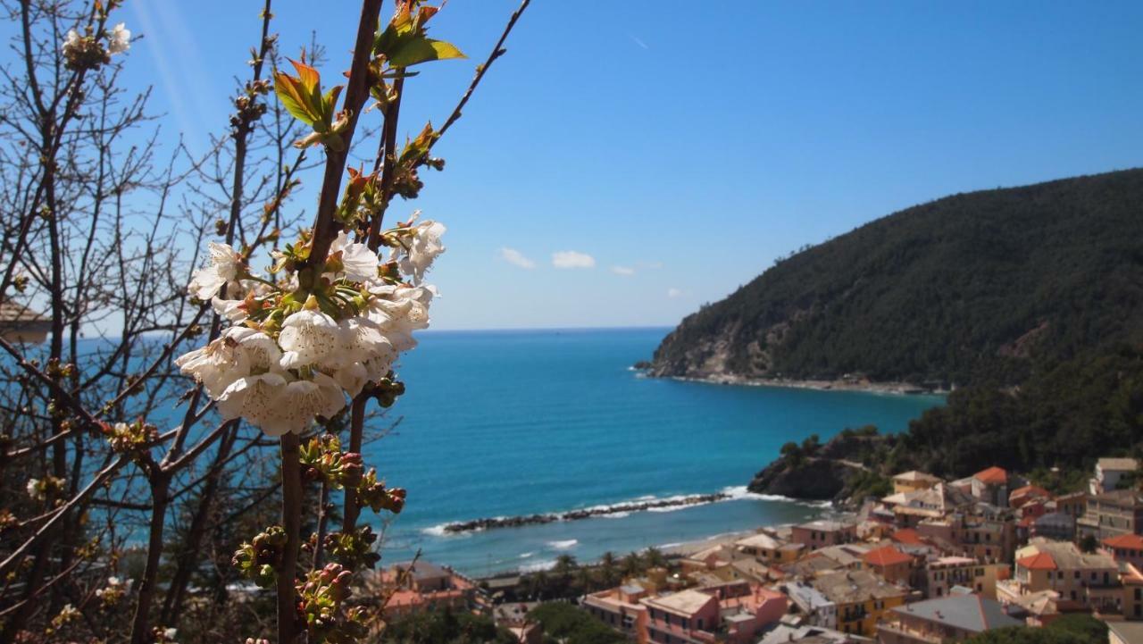 Piccolo Hotel Moneglia Exteriér fotografie
